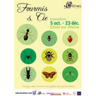 Expo "Fourmis et Cie" au Clévos d'Étoile-sur-Rhône