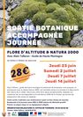 Sortie encadrée journée : Botanique d'altitude & Natura 2000 en Clarée