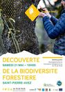 Fête de la Nature : à la découverte de la biodiversité forestière des Baronnies provençales