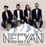 Concert quatuor cuivres Necyan et orgue