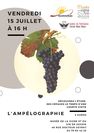 Visite thématique : l'ampélographie au musée de la vigne et du vin