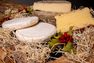 Dégustation de fromages de Savoie
