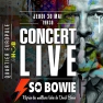 Concert - So Bowie