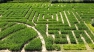 Le Labyrinthe végétal