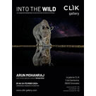Expo photo "Into the Wild" à la Galerie Click de Grenoble
